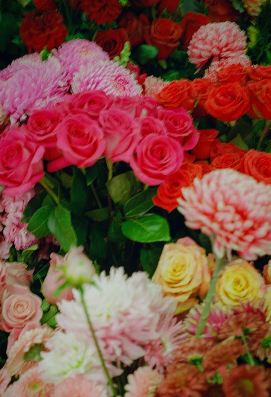 Today's Flowers