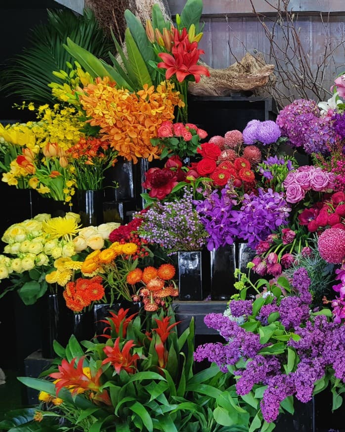 Buckets of fresh-cut seasonal flowers in The Flower Room, Newtown