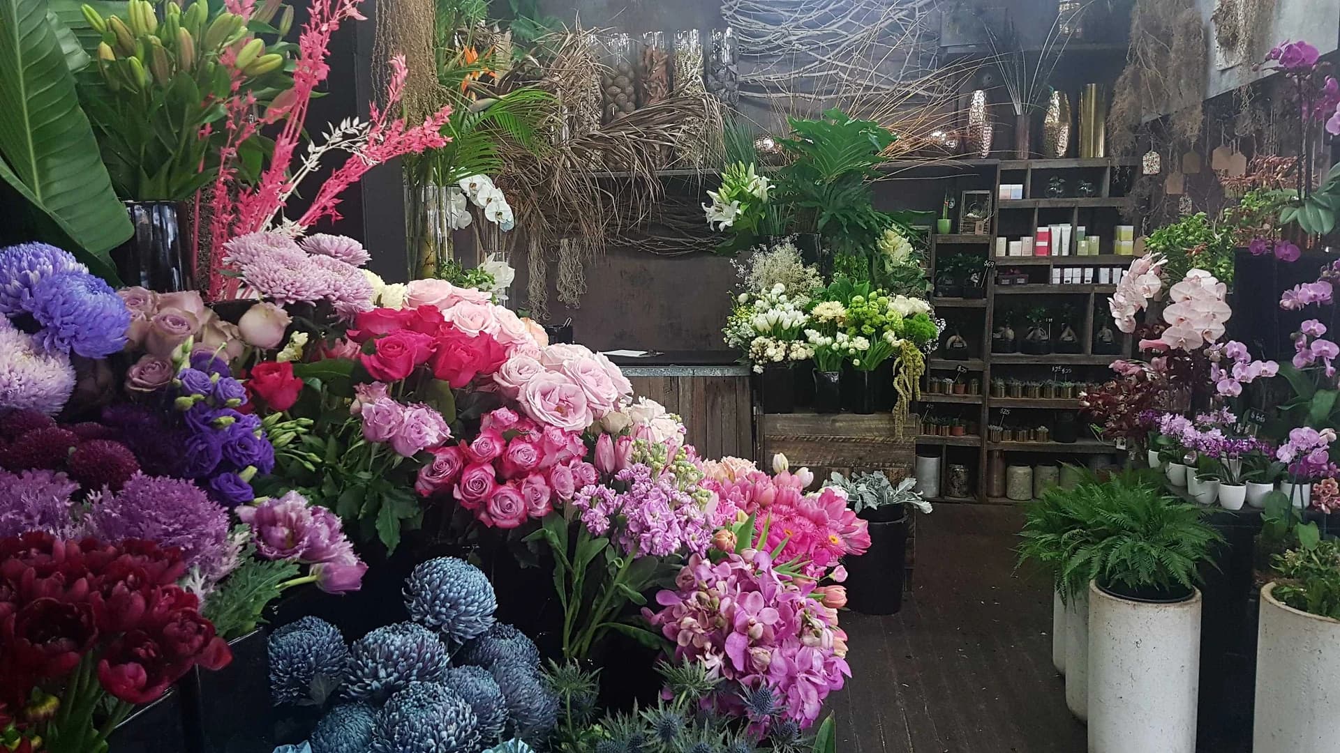 Inside The Flower Room, 282 King Street, Newtown